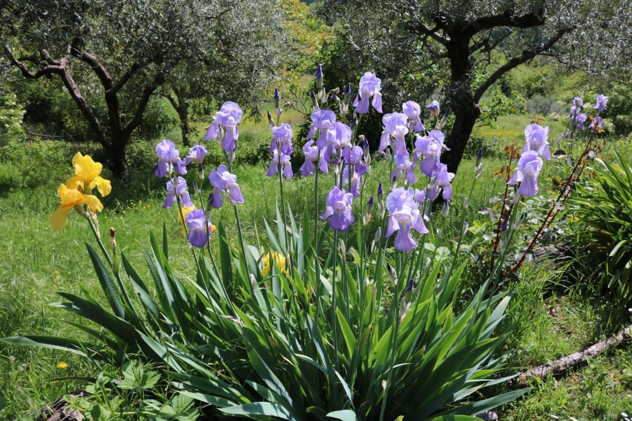 Bed & Breakfast Casa Lisetta Valtopina Luaran gambar