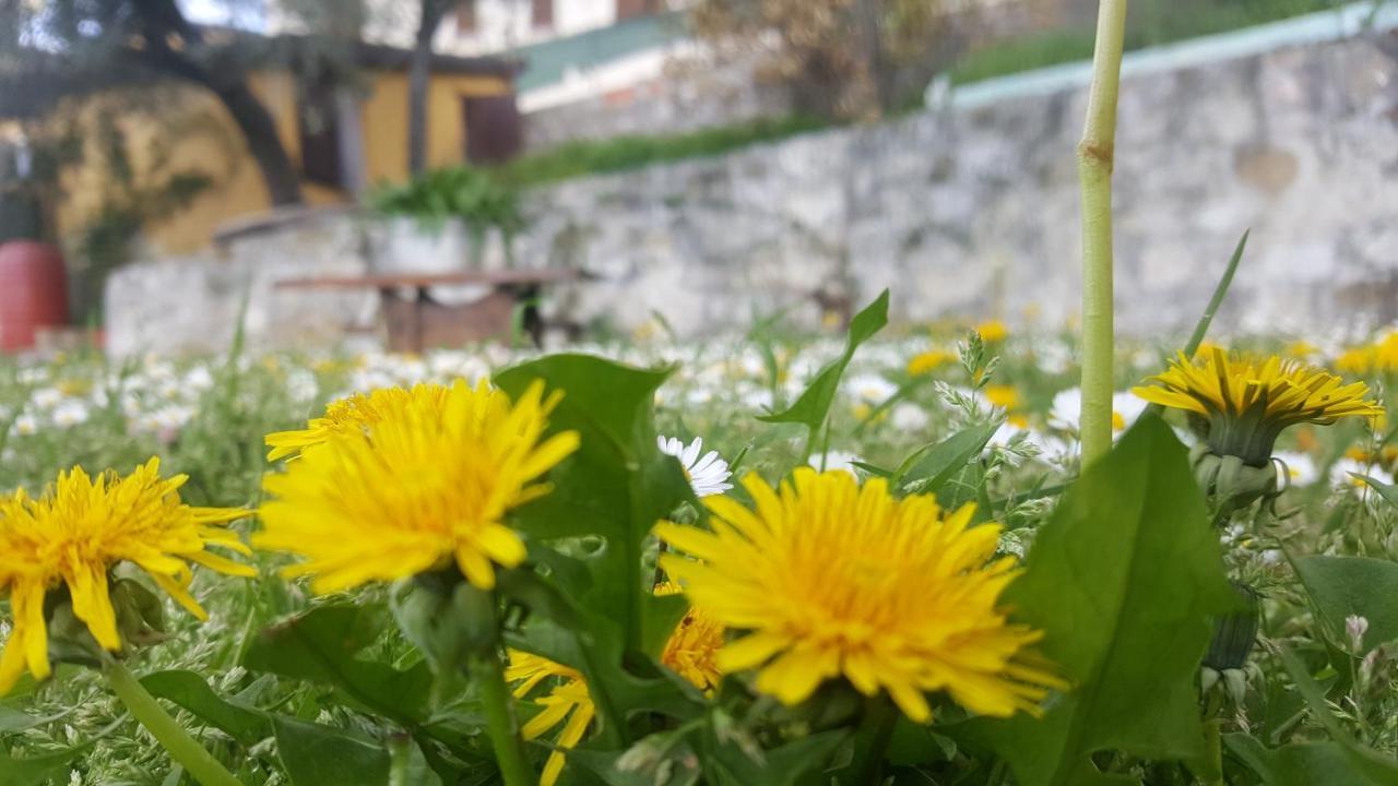 Bed & Breakfast Casa Lisetta Valtopina Luaran gambar