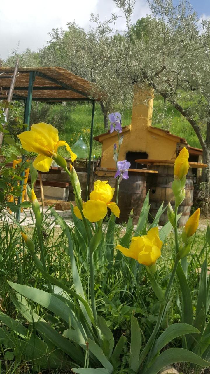 Bed & Breakfast Casa Lisetta Valtopina Luaran gambar