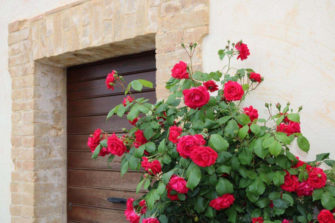 Bed & Breakfast Casa Lisetta Valtopina Luaran gambar
