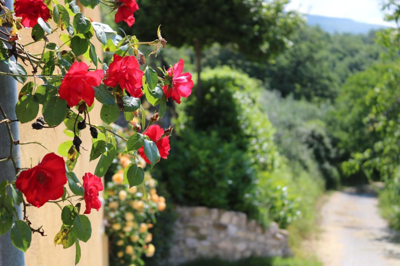 Bed & Breakfast Casa Lisetta Valtopina Luaran gambar
