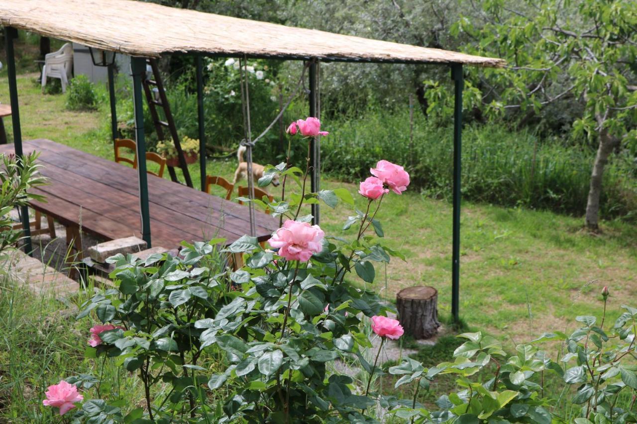 Bed & Breakfast Casa Lisetta Valtopina Luaran gambar