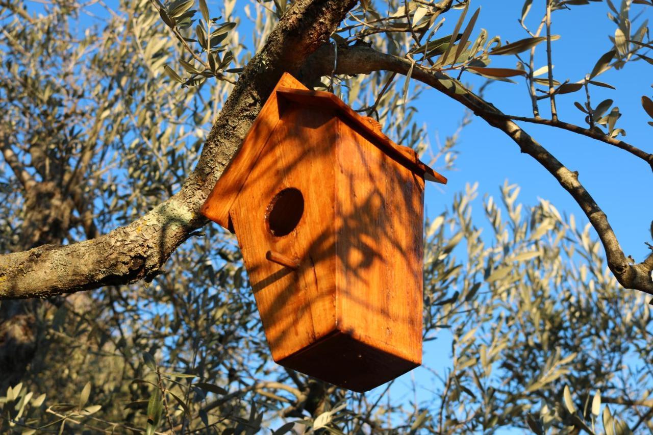 Bed & Breakfast Casa Lisetta Valtopina Luaran gambar